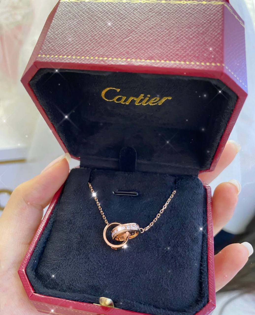 Dior Mimirose 项链 5