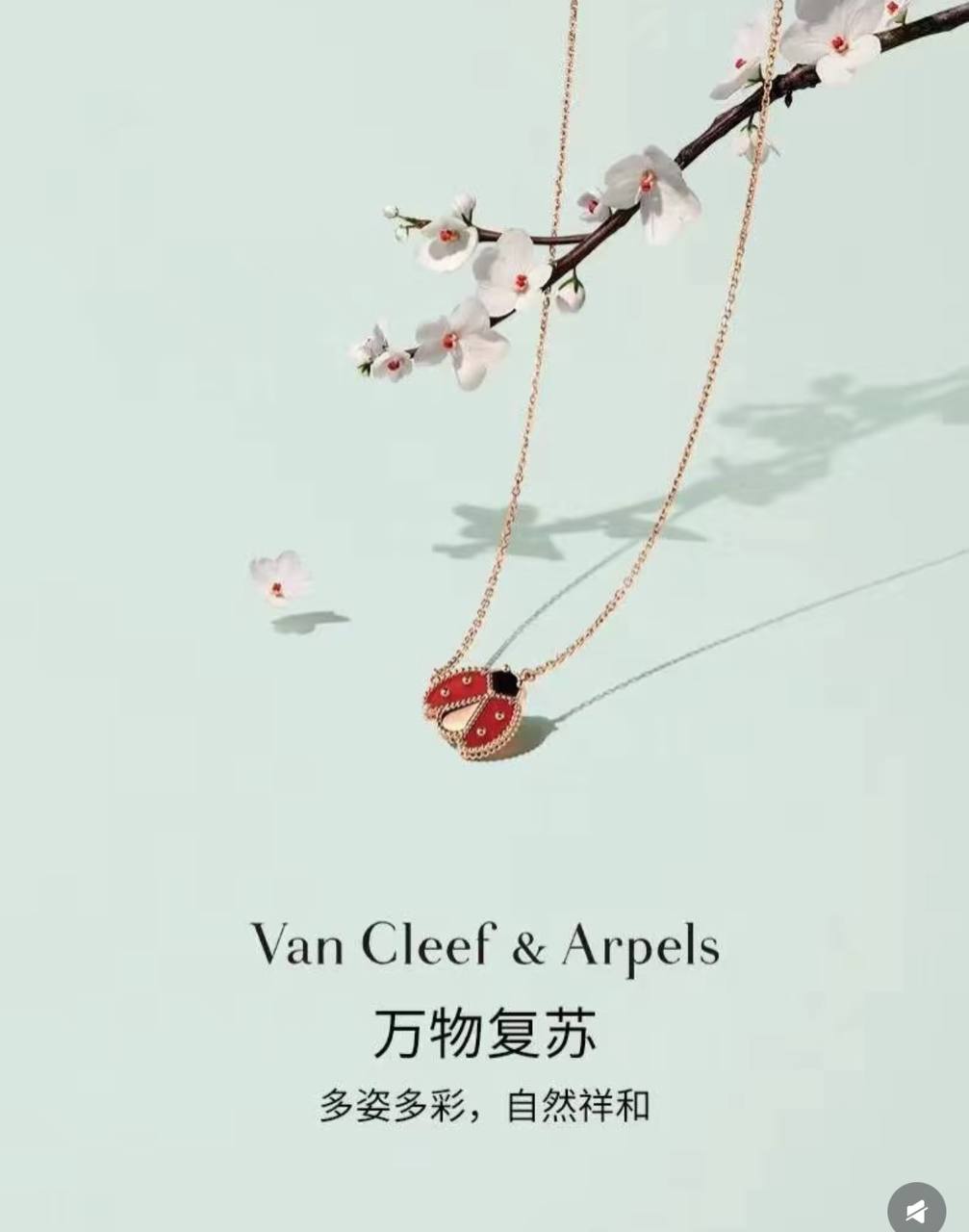 Bvlgari Octagon 耳环 6